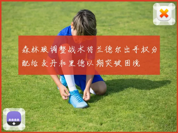 森林狼调整战术将兰德尔出手权分配给麦丹和里德以期突破困境